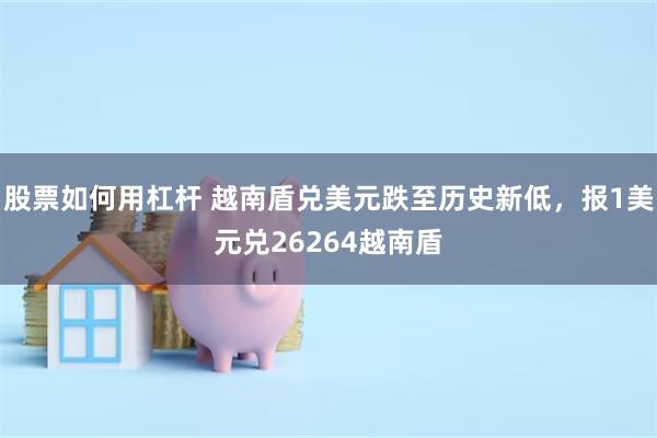 股票如何用杠杆 越南盾兑美元跌至历史新低，报1美元兑26264越南盾